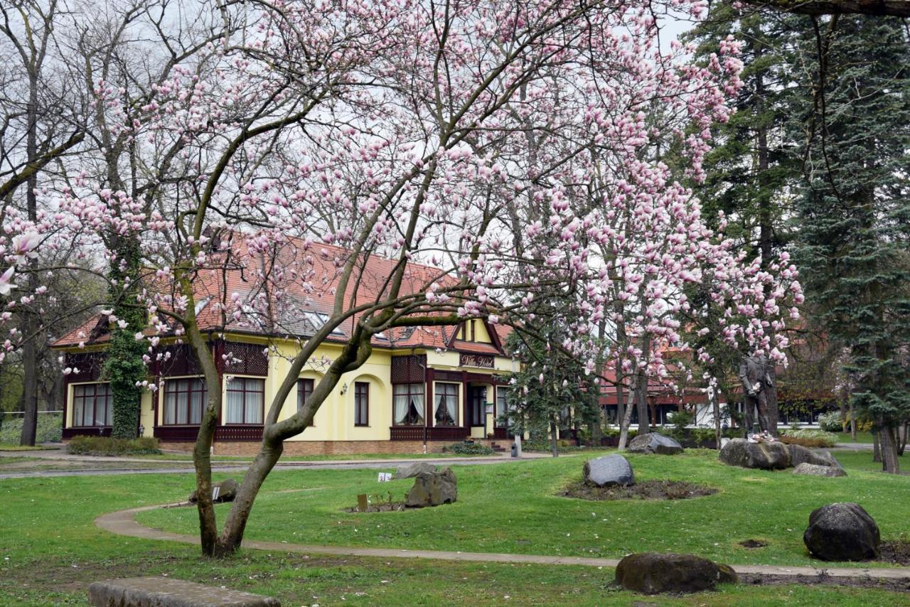 Villa Hotel Debrecen Luaran gambar