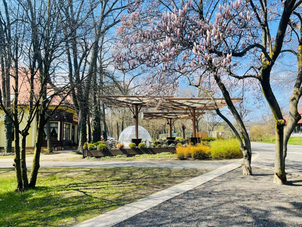 Villa Hotel Debrecen Luaran gambar